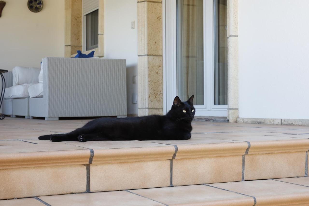 Villa Tres Palmeras En Alfaz Del Pi , Albir, Benidorm L'Alfàs del Pi Zewnętrze zdjęcie